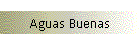 Aguas Buenas