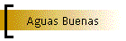 Aguas Buenas